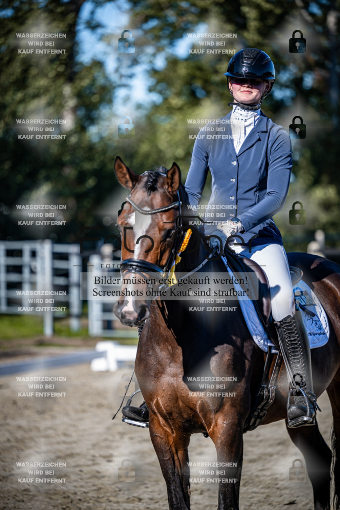 2026-09-Lohne-11-0005 | Entdecke hochwertige Reitturnierfotos von Foto Oger. Professionell, emotional und authentisch – jetzt Lieblingsmomente im Shop bestellen.Deutschlandweite Turnierfotografie. - Realisiert mit Pictrs.com