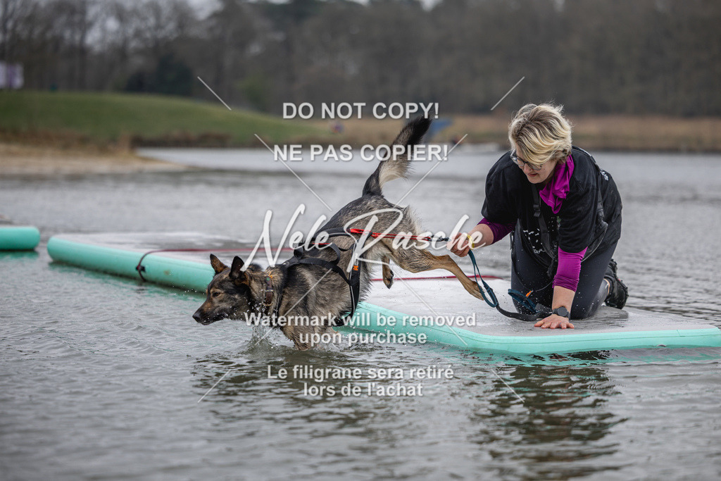 nelerasche_Hulsbeek_Sa1230-1330_504 | nelerasche