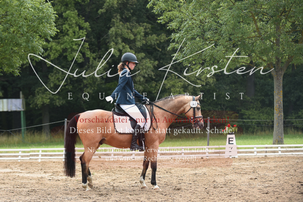 DSC_0096 | Pferde- und Turnierfotografie in Westsachsen. Pferdeportraits, Auftragszeichnungen und intuitive Kunst.