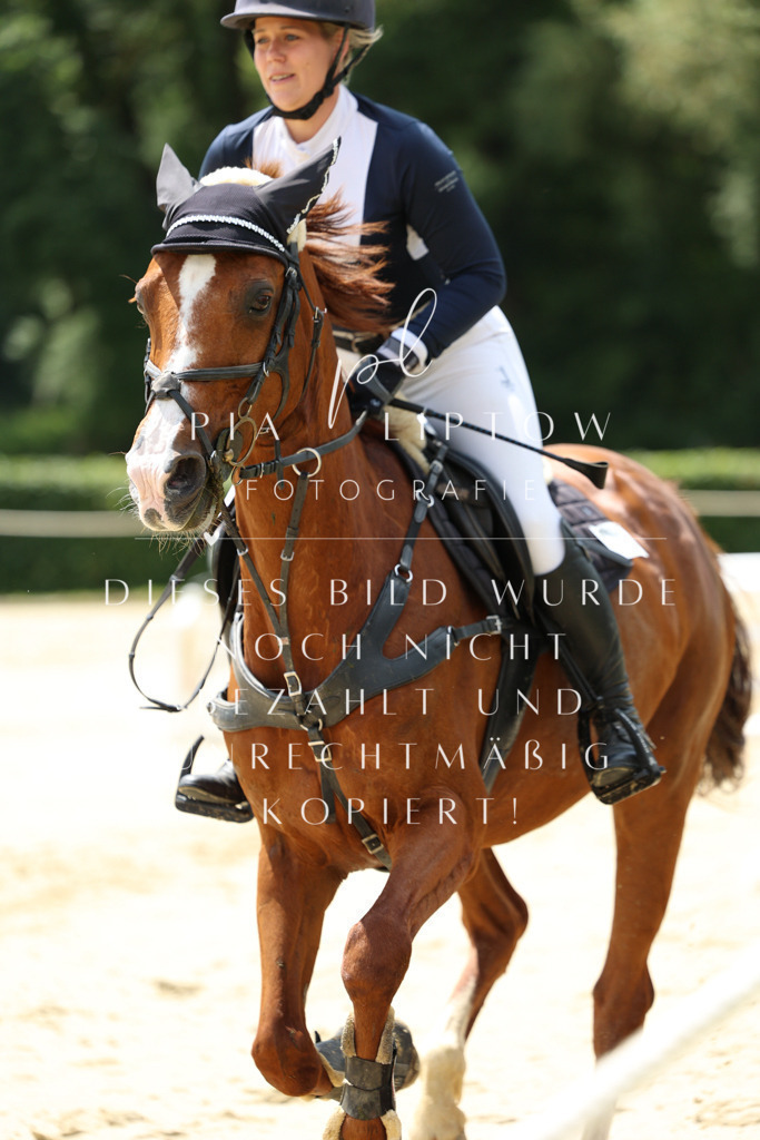 IMGM1908 | pl-fotografie