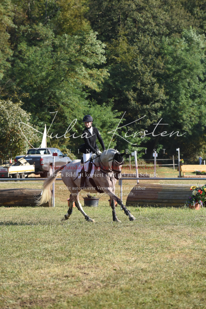DSC_5276 | Pferde- und Turnierfotografie in Westsachsen. Pferdeportraits, Auftragszeichnungen und intuitive Kunst.