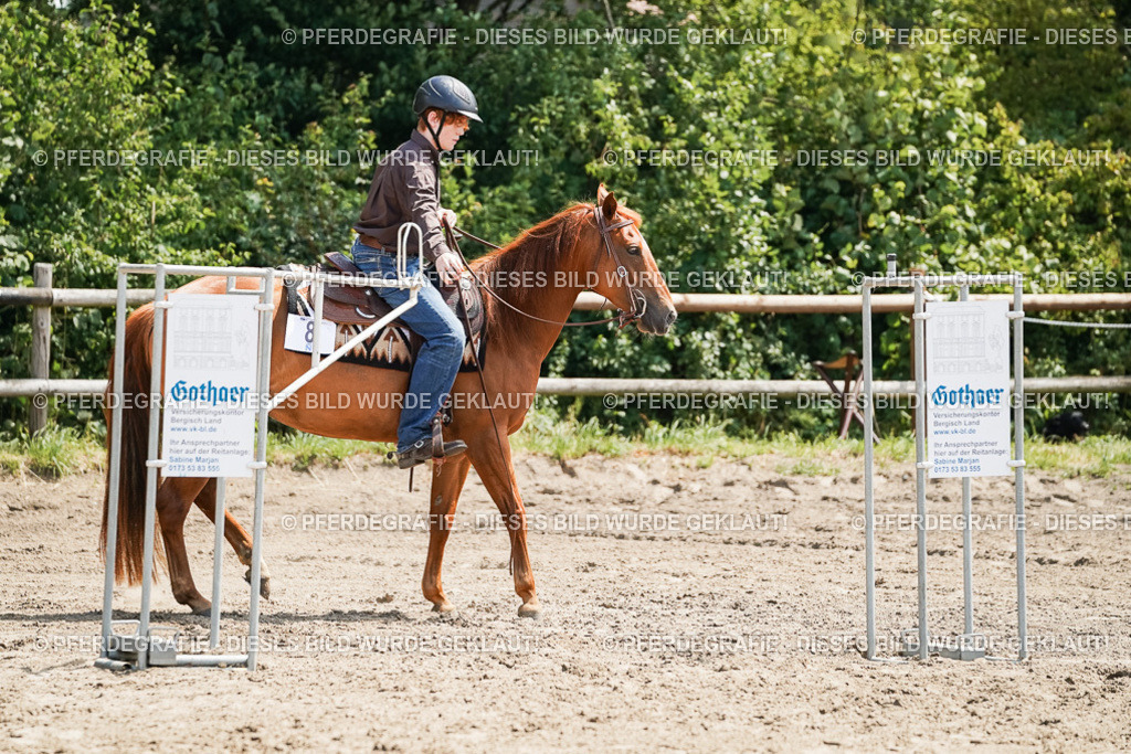 DSC07581 | Pferdegrafie