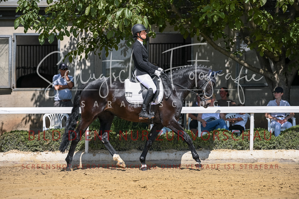 Schugtsche-Aluta25-53.Amat.Dressurprf.A2-141 | Schugtsche Fotografie - Realisiert mit Pictrs.com