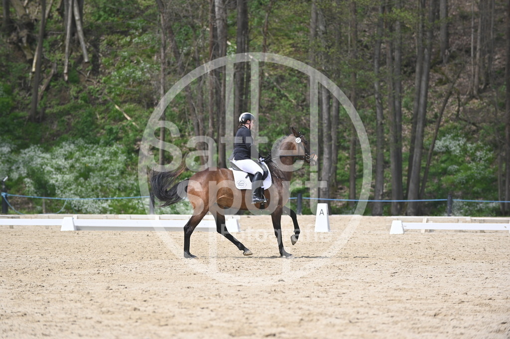 DSC_3320 | sattelsport - Realisiert mit Pictrs.com