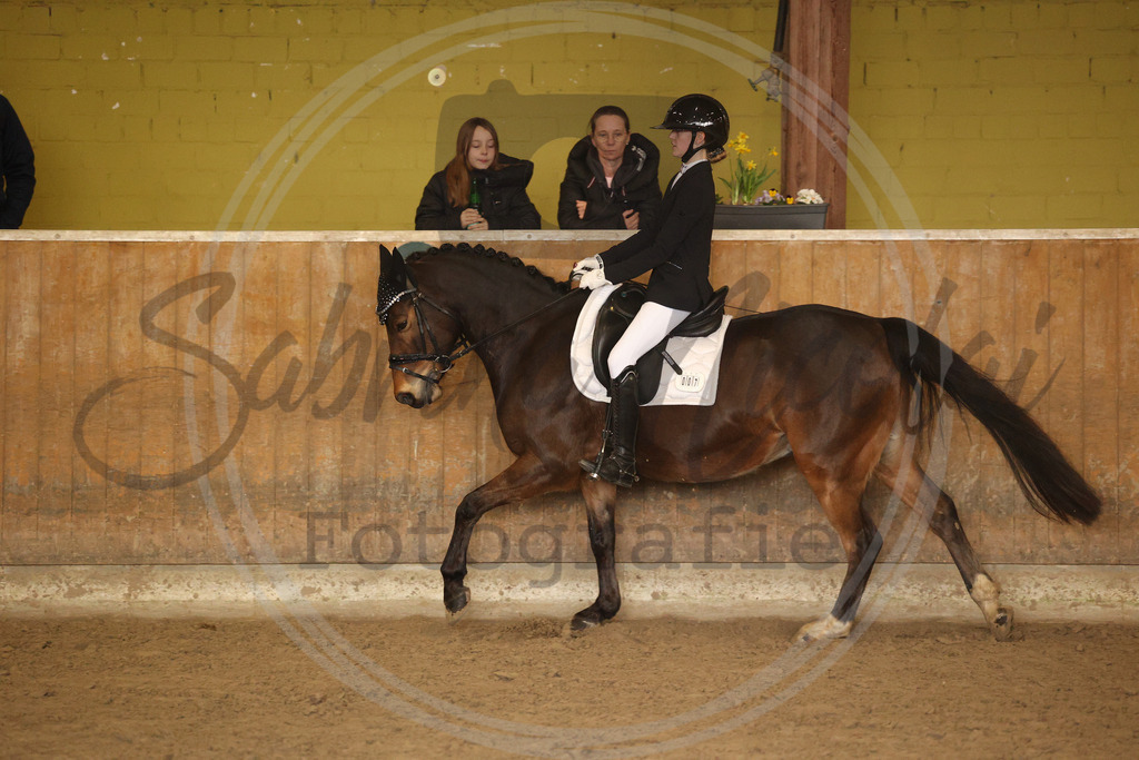 994A9125 | sabrinanicolaifotografie - Realisiert mit Pictrs.com