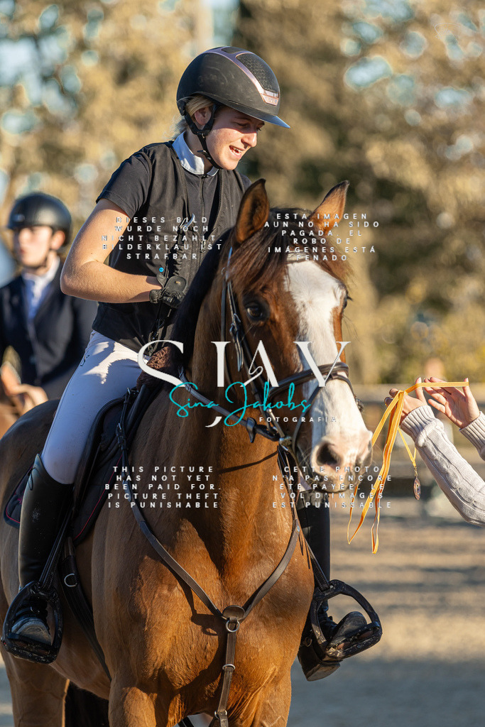 IMG_2711 | s-jay-photography - Realisiert mit Pictrs.com