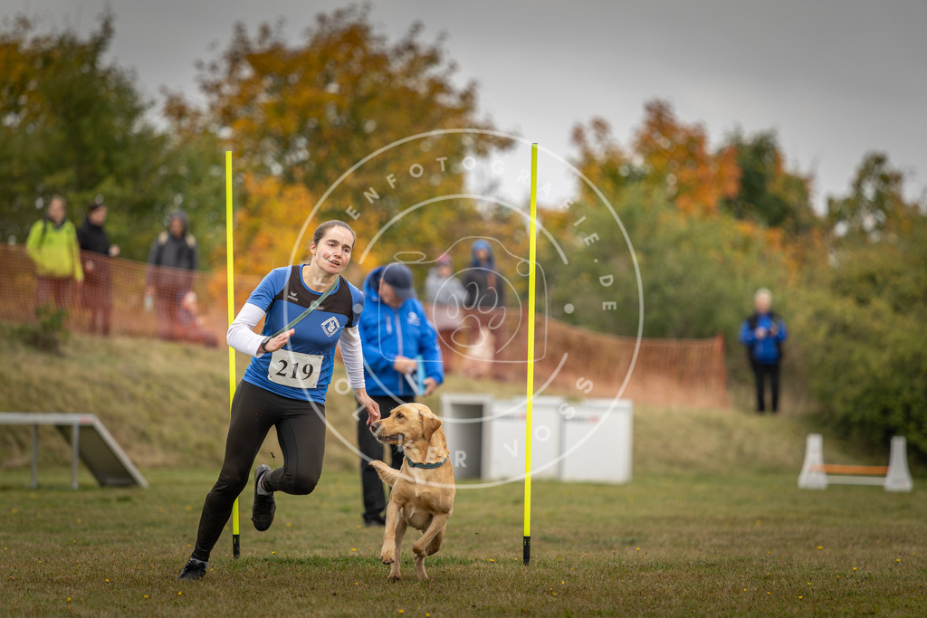 Pfotenfotografie_DV3A3672 | Hundefotografie, Tierfotograf, Pfotenfotografie, Fotoshooting Hund, Hunde Portrait, Hundesport, Hundeportraits, Heideshooting, Hunde, Sportfotograf, Hundefotograf, Turnierhundsport, THS,  - Realisiert mit Pictrs.com