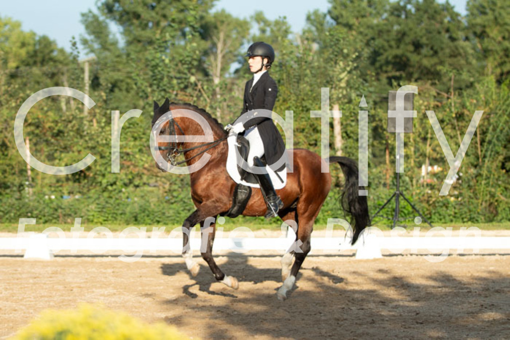 IMG_6278 | Creatify Fotografie