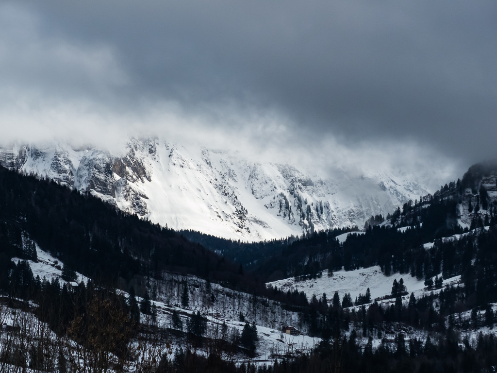 PSX_20230312_233430 | mtkfoto_ - Realisiert mit Pictrs.com