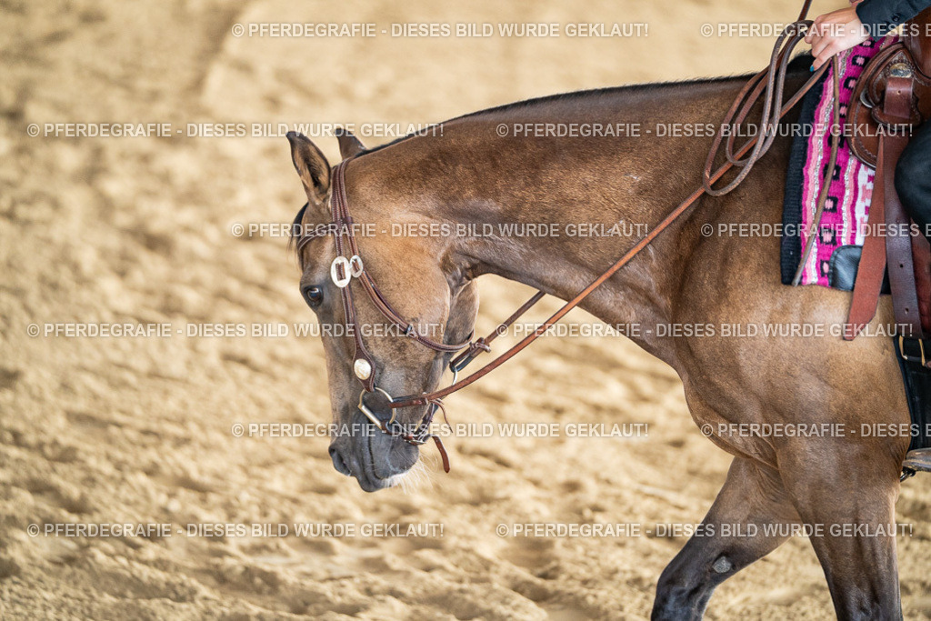 DSC07828 | Pferdegrafie