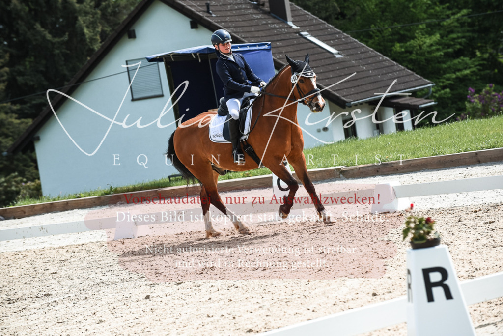 20230518_JK-Röhrsdorf-11-0616 | Pferde- und Turnierfotografie in Westsachsen. Pferdeportraits, Auftragszeichnungen und intuitive Kunst.