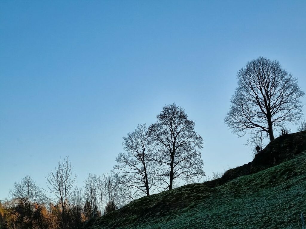 PSX_20221206_230828 | mtkfoto_ - Realisiert mit Pictrs.com