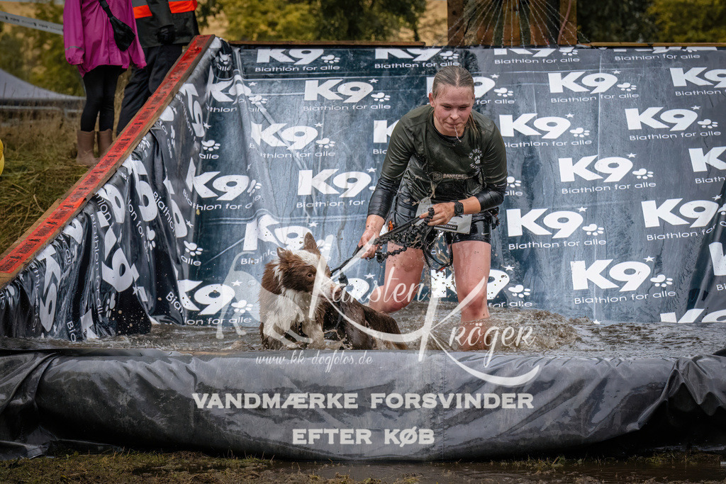 1245_ZZ90487 | kk-dogfotos