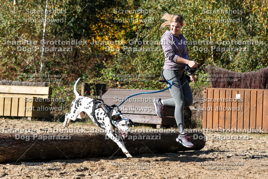 Dog Paparazzi - Strongdog 10-25-2776 | Dog Paparazzi Jeanette Grottendiek Fotografie & Videografie - Realisiert mit Pictrs.com