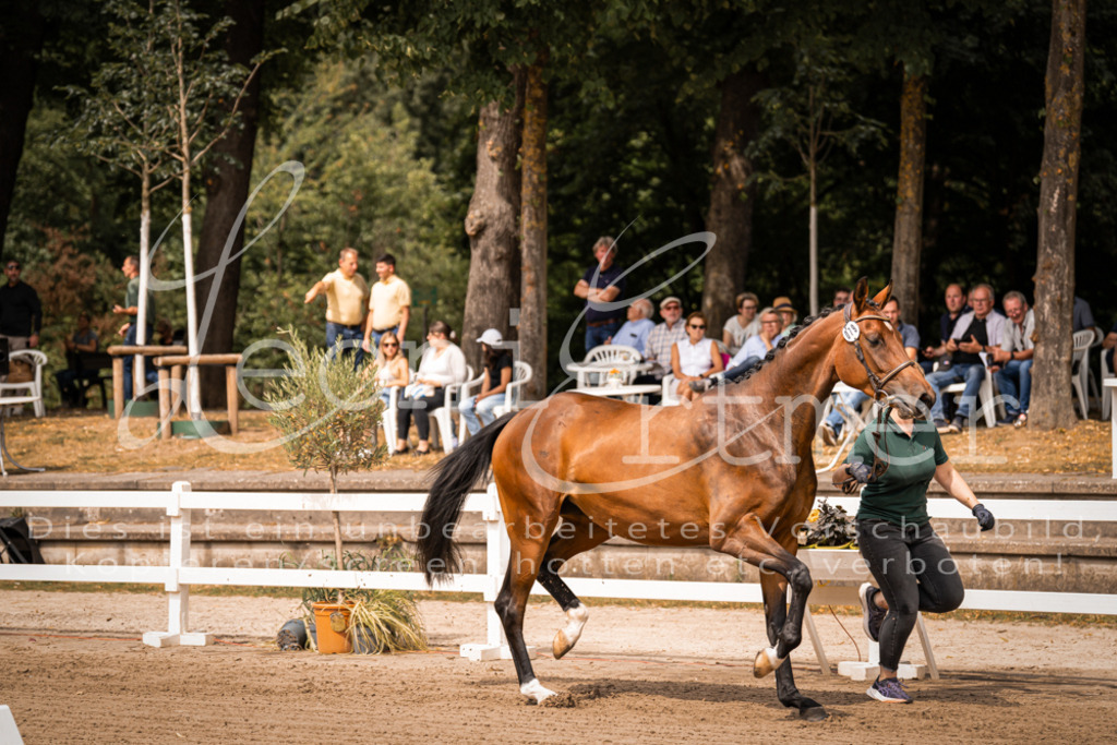 4.Fr00105 | Leoni Ertmer Photography - Realisiert mit Pictrs.com