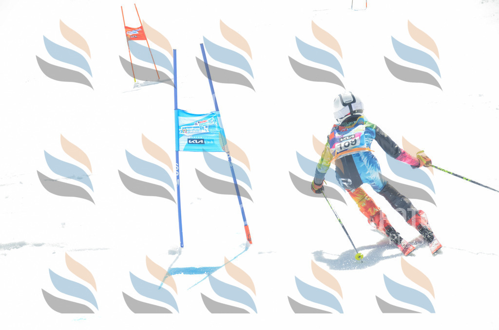 _ELE5885 | holidayphoto