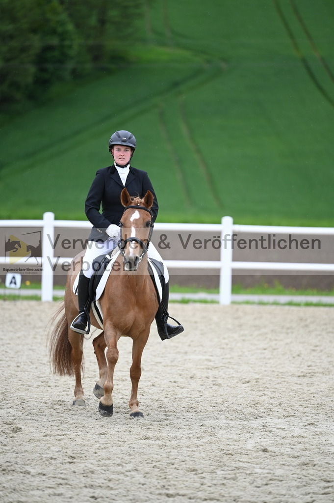 DSC_0109 | equestrian-live-com