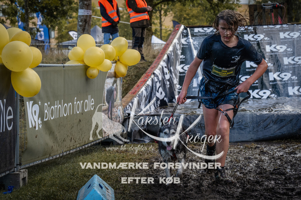 1415_ZZ92731 | kk-dogfotos