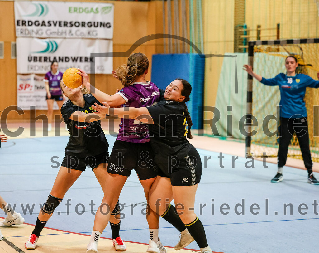 2023-12-17_044_SpVgg_Altenerding_II_gegen_HF_Scheyern | Erding, Deutschland, 17.12.2023:
Handball, Bezirksliga Frauen Altbayern 2023 / 2024, 9. Spieltag, SpVgg Altenerding II gegen HF Scheyern, Endergebnis: 22:26

Kathrin Fink (HF Scheyern, #19), Sophie Lößl (SpVgg Altenerding, #23), Tanja Ruscitti (HF Scheyern, #22)

Foto: Christian Riedel / fotografie-riedel.net
