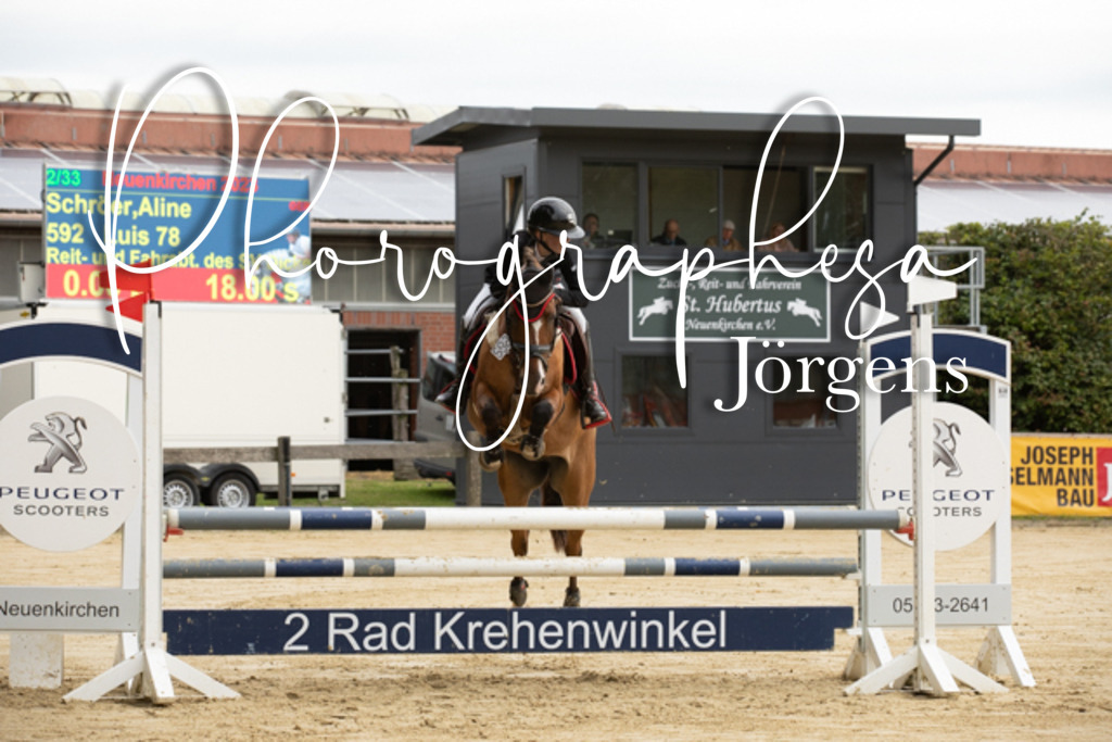 IMG_6534 | photographesa-joergens - Realisiert mit Pictrs.com