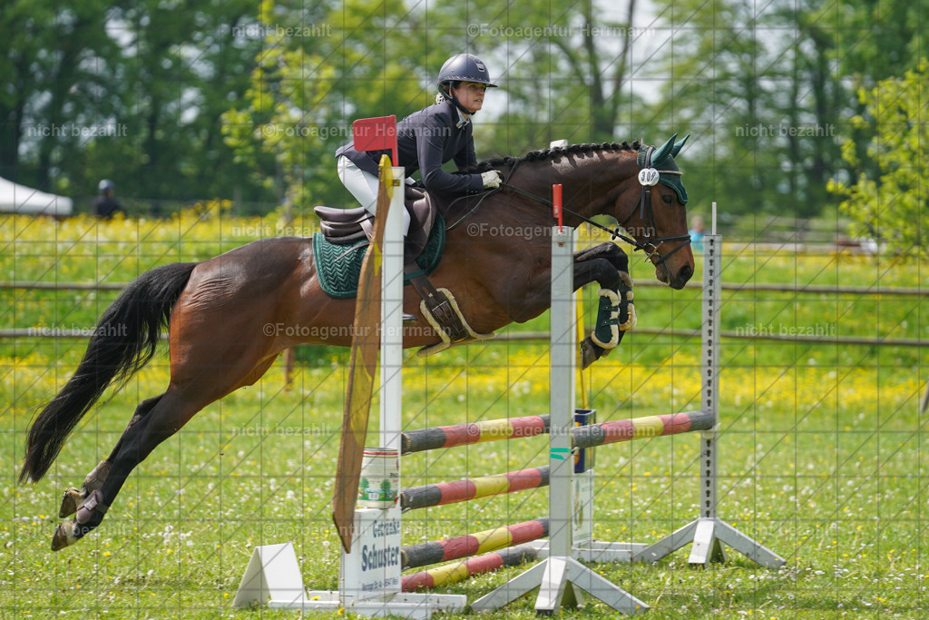 20240509-FAH02848 | Turnierbilder der Turnierfotografen Bayern, Pferdesport Fotografie, Reitsportbilder, Turnier Landberg am Lech, Turnierbilder bayern, Fotoagentur Herrmann