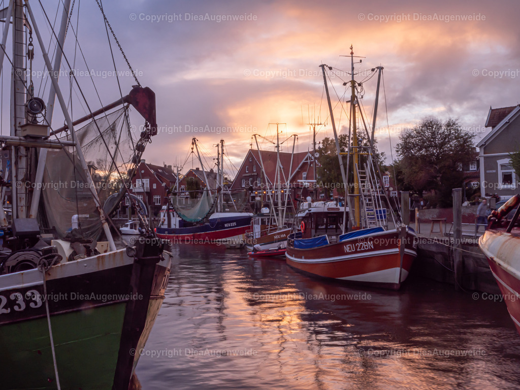_1099485 | DieAugenweide Galerie, Bilder von Fotograf Ralf-Udo Thiele. Auswählen und bestellen auf verschiedenen Materialien und Größen. - Realisiert mit Pictrs.com