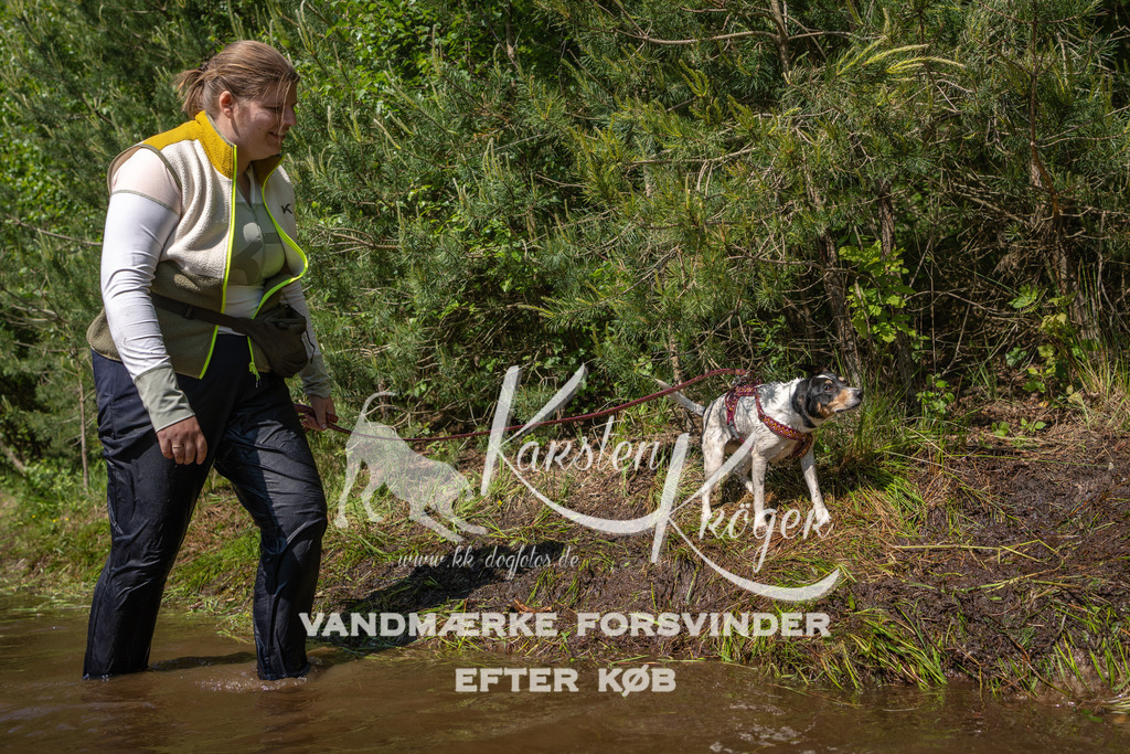 1530DKK993489 | kk-dogfotos