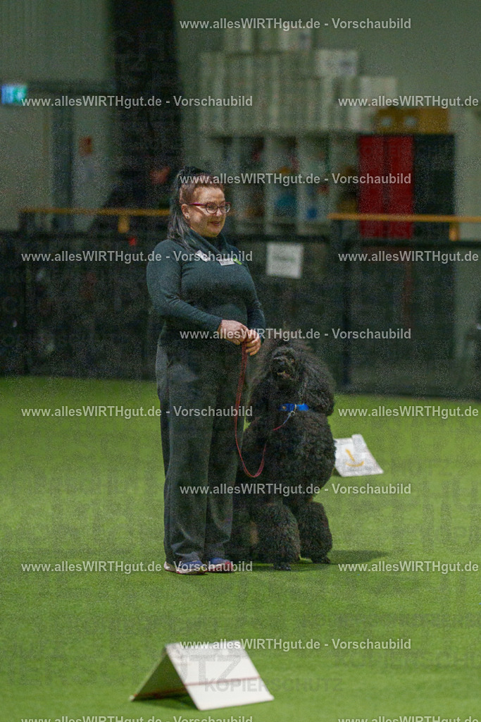 7R508859 | Professionelle Tierfotografie in Mönchengladbach von Daniel Wirth (allesWIRTHgut). Liebevolle & natürliche Bilder von Hunden & Katzen für unvergessliche Erinnerungen.