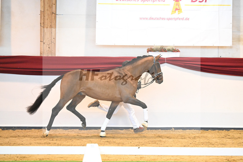 Kat-Nr. 64 v. Vitalis_Bock_66222160 | hf-fotografie - Realisiert mit Pictrs.com