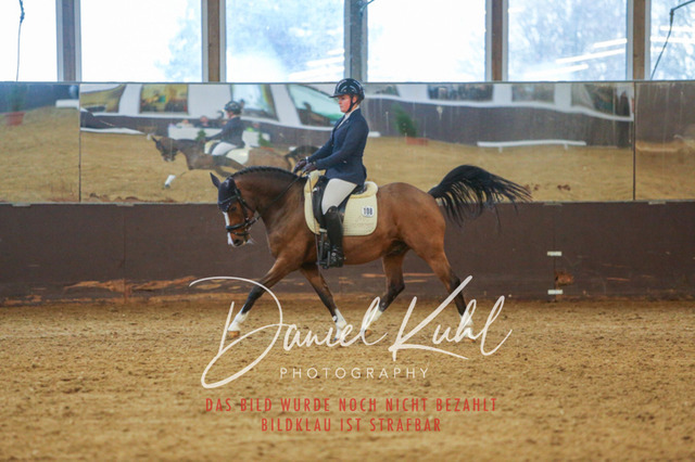IMG_7709 | Turniersportfotografie; Pferdefotografie; Dressurfotografie