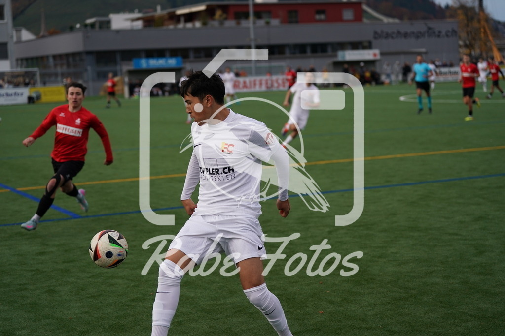 DSC00463 | rabefotos