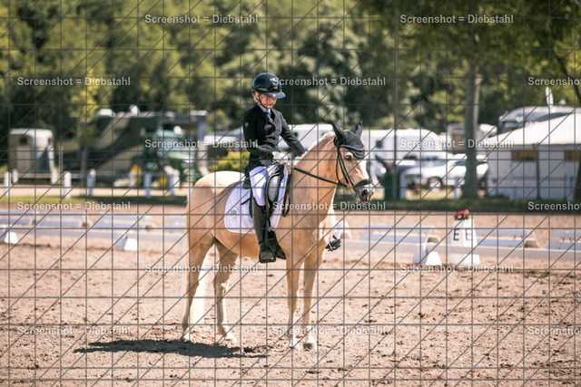 _W6A2072 | ronjaprokoschfotografie - Realisiert mit Pictrs.com