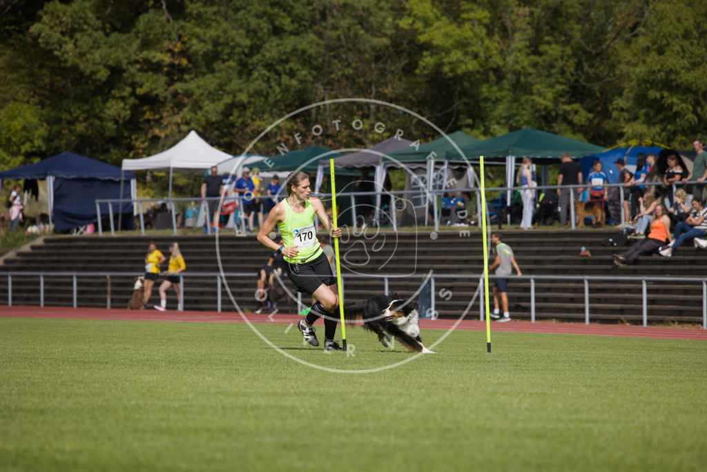 0L8A3287 | Hundefotografie, Tierfotograf, Pfotenfotografie, Fotoshooting Hund, Hunde Portrait, Hundesport, Hundeportraits, Heideshooting, Hunde, Sportfotograf, Hundefotograf, Turnierhundsport, THS,  - Realisiert mit Pictrs.com