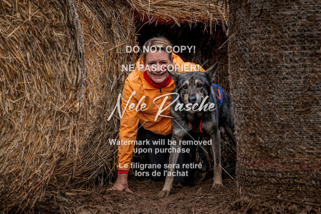 nelerasche_Hunsrück_So11-12_190 | nelerasche