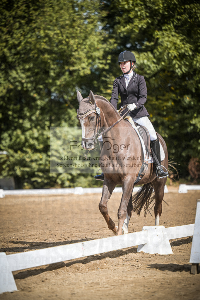 DOS_0080 | Entdecke hochwertige Reitturnierfotos von Foto Oger. Professionell, emotional und authentisch – jetzt Lieblingsmomente im Shop bestellen.Deutschlandweite Turnierfotografie. - Realisiert mit Pictrs.com