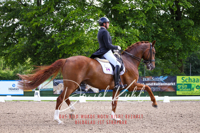 DKP41324 | Deine Turnierfotos vom Reitturnier online kaufen: Dressur, Springen & Siegerehrung. Professionelle Pferdefotografie aus dem Rheinland – als Download & Print.Alternative: Turnierfotograf für den Pferdesport: Finde deine Fotos von Dressur- und Springturnier