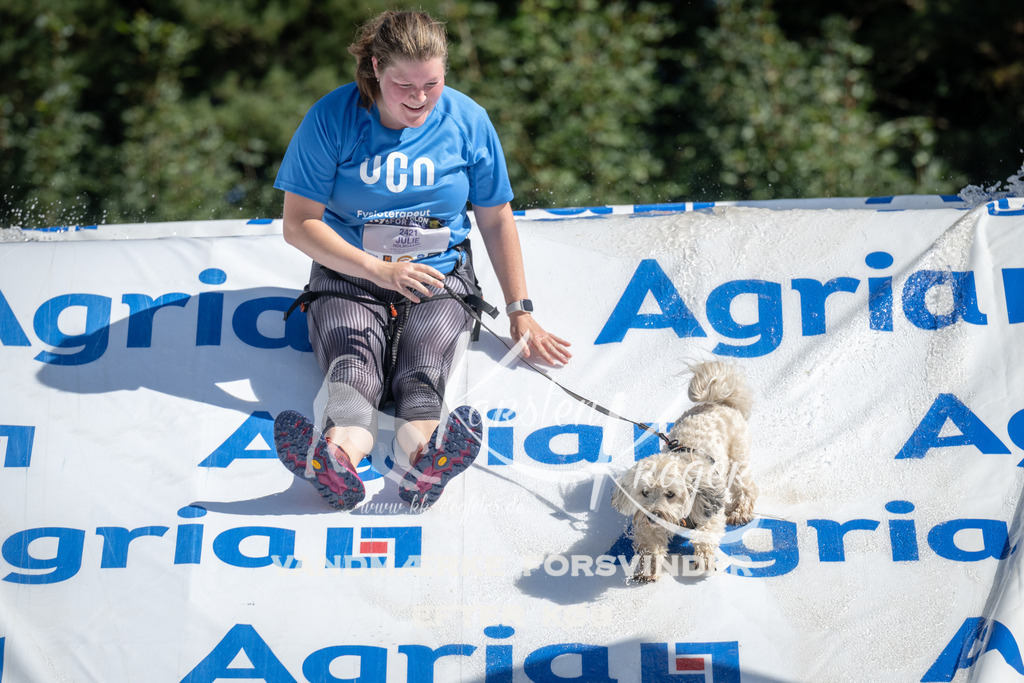 1130_ZZ92373 | kk-dogfotos