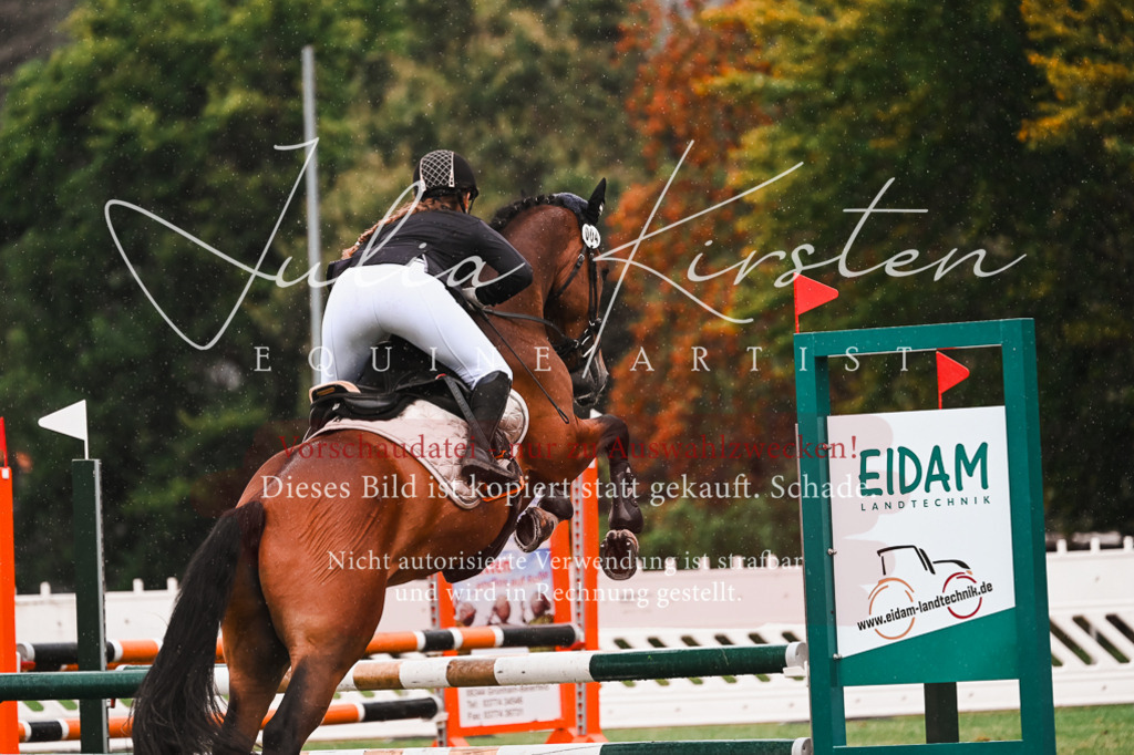DSC_6614 | Pferde- und Turnierfotografie in Westsachsen. Pferdeportraits, Auftragszeichnungen und intuitive Kunst.