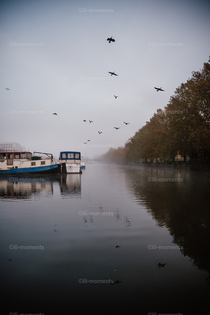 Aufwachen  | „Aufwachen“ ist ein berührendes Natur- und Stimmungsfoto, das die Ruhe und Magie eines frühen Morgens am Kanal einfängt. Zwei Boote liegen friedlich auf dem stillen Wasser, während ein zarter Nebel über der Oberfläche schwebt und die Szenerie in eine fast märchenhafte Weichheit taucht. Eine aufsteigende Vogelschar, die sich in den neuen Tag erhebt, verleiht dem Bild eine dynamische, lebendige Note. Entlang des Kanals erstreckt sich eine ruhige Baumreihe, die dem Motiv Tiefe und Natürlichkeit schenkt.Dieses Bild verkörpert den Zauber des Tagesbeginns – ein Moment des Innehaltens, der Stille und der gleichzeitig erwachenden Natur. Perfekt geeignet für Räume, in denen Harmonie, Entspannung und eine besondere Atmosphäre gefragt sind: Wohnzimmer, Büros, Praxen, Wellnessbereiche oder Schlafzimmer. - Realisiert mit Pictrs.com