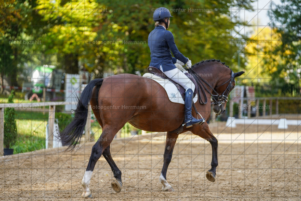 20221007-FAH09996 | Diessen am Ammersee, 2022, Dressur- und Springturnier, Reitsportbilder, Turnierfotografen Bayern, Pferdefotografen, Fotoagentur Herrmann, Turnierbilder