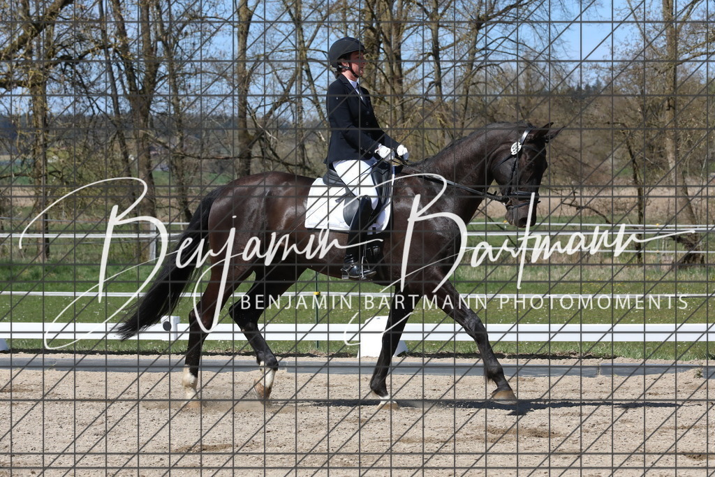 AZ2A4188 | Benjamin Bartmann Photomoments