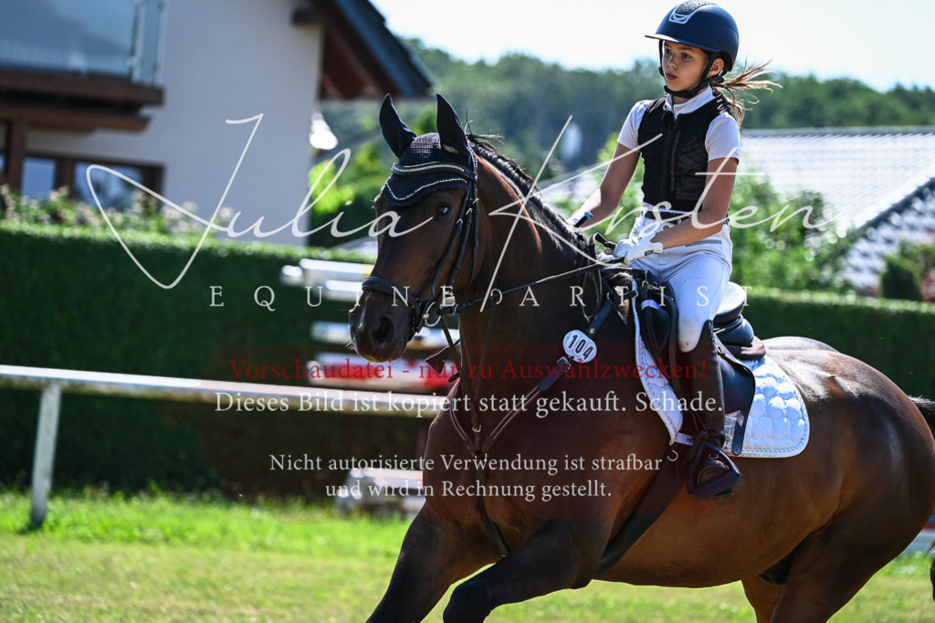 DSC_1388 | Pferde- und Turnierfotografie in Westsachsen. Pferdeportraits, Auftragszeichnungen und intuitive Kunst.