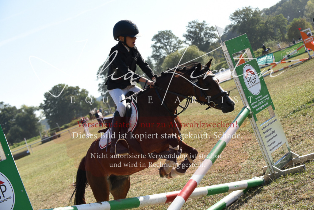 DSC_5770 | Pferde- und Turnierfotografie in Westsachsen. Pferdeportraits, Auftragszeichnungen und intuitive Kunst.