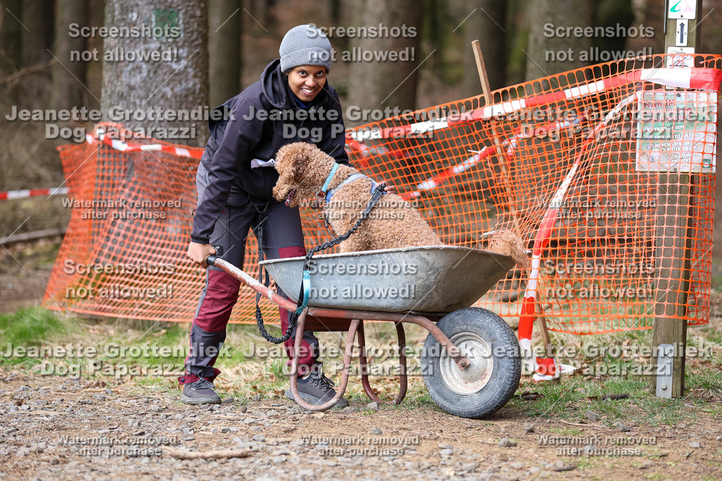 Dog Paparazzi - VCC26-827 | Dog Paparazzi Jeanette Grottendiek Fotografie & Videografie - Realisiert mit Pictrs.com