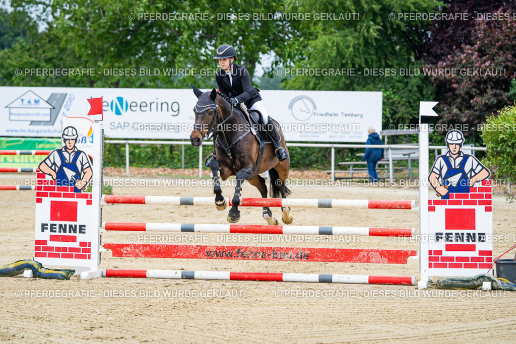 DSC03604 | Pferdegrafie