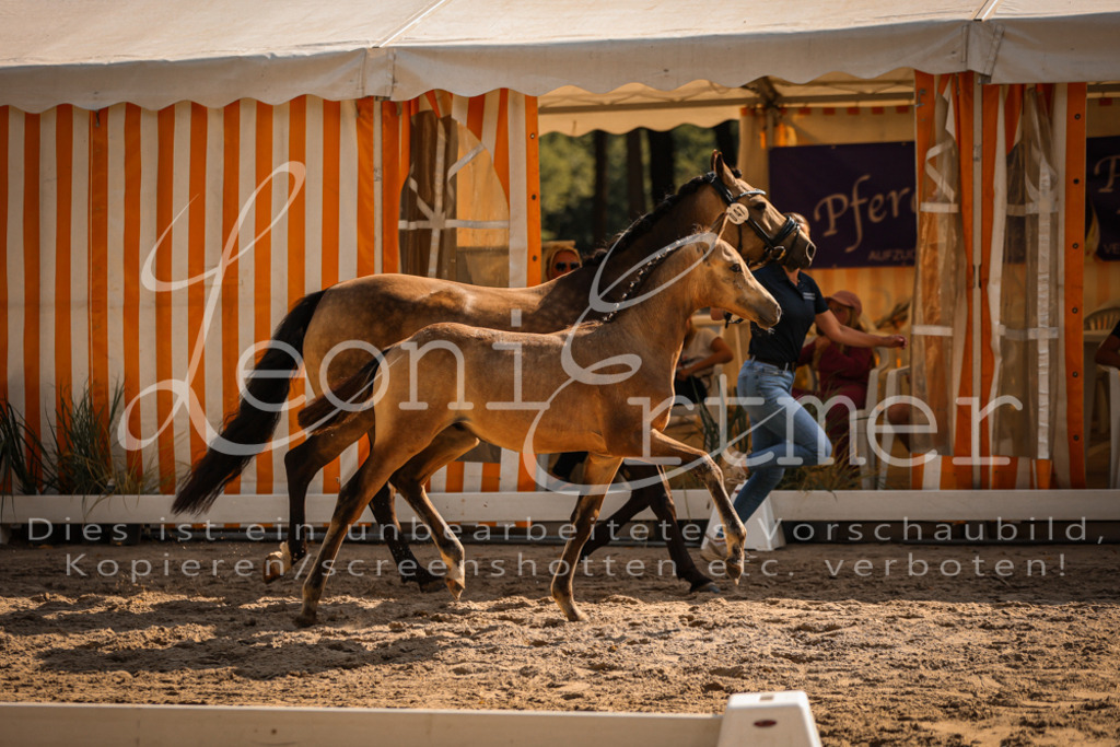 11.DoRP00020 | Leoni Ertmer Photography - Realisiert mit Pictrs.com