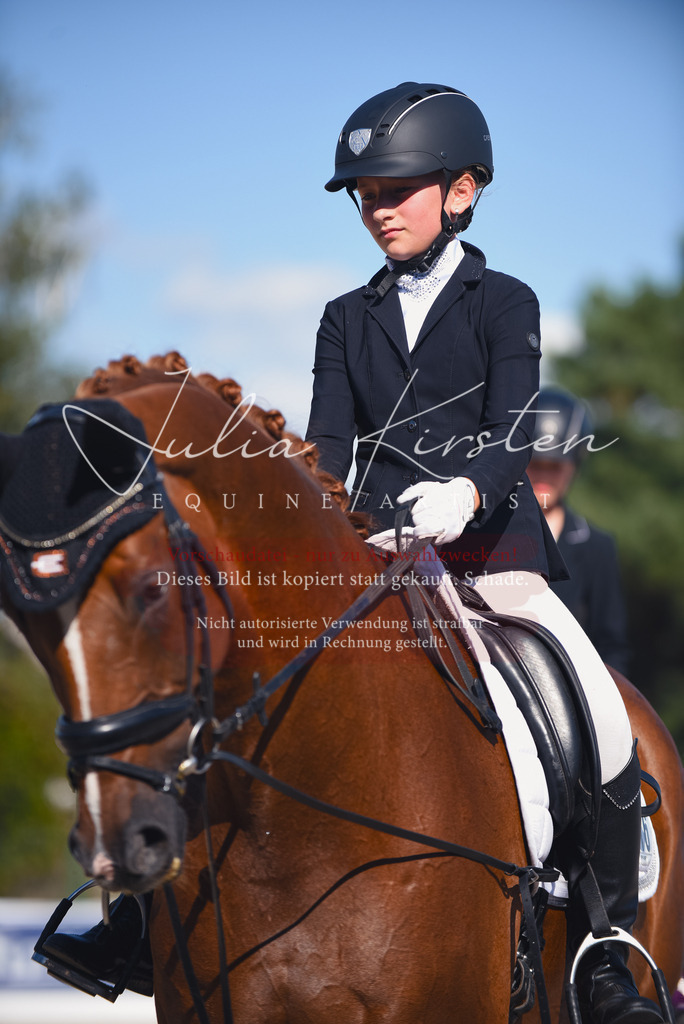 DSC_0124 | Pferde- und Turnierfotografie in Westsachsen. Pferdeportraits, Auftragszeichnungen und intuitive Kunst.