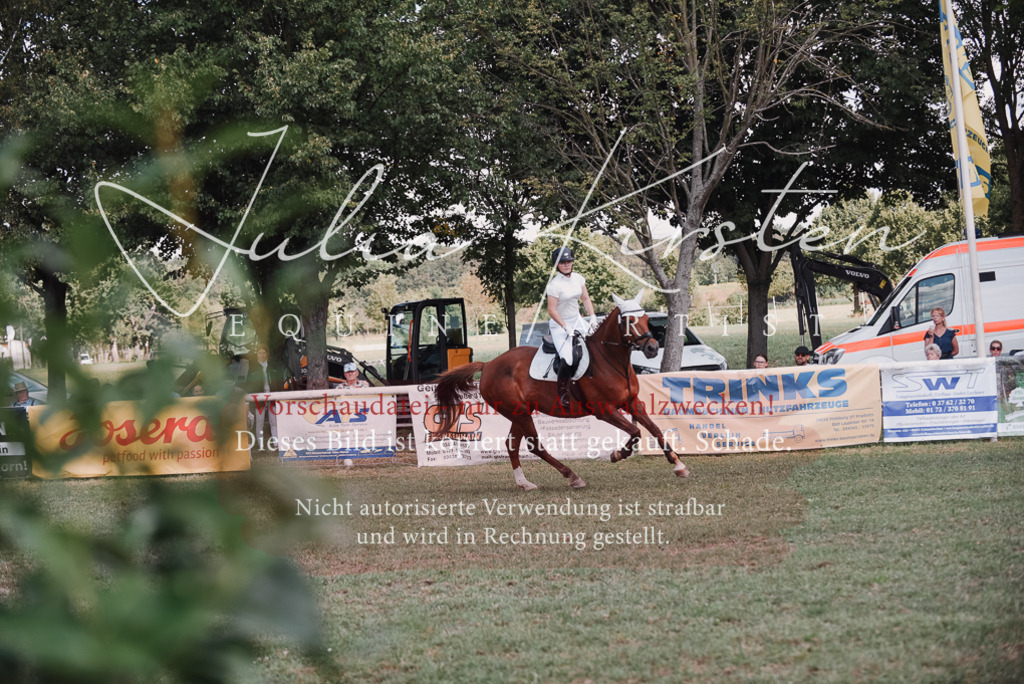 DSC_5753 | Pferde- und Turnierfotografie in Westsachsen. Pferdeportraits, Auftragszeichnungen und intuitive Kunst.