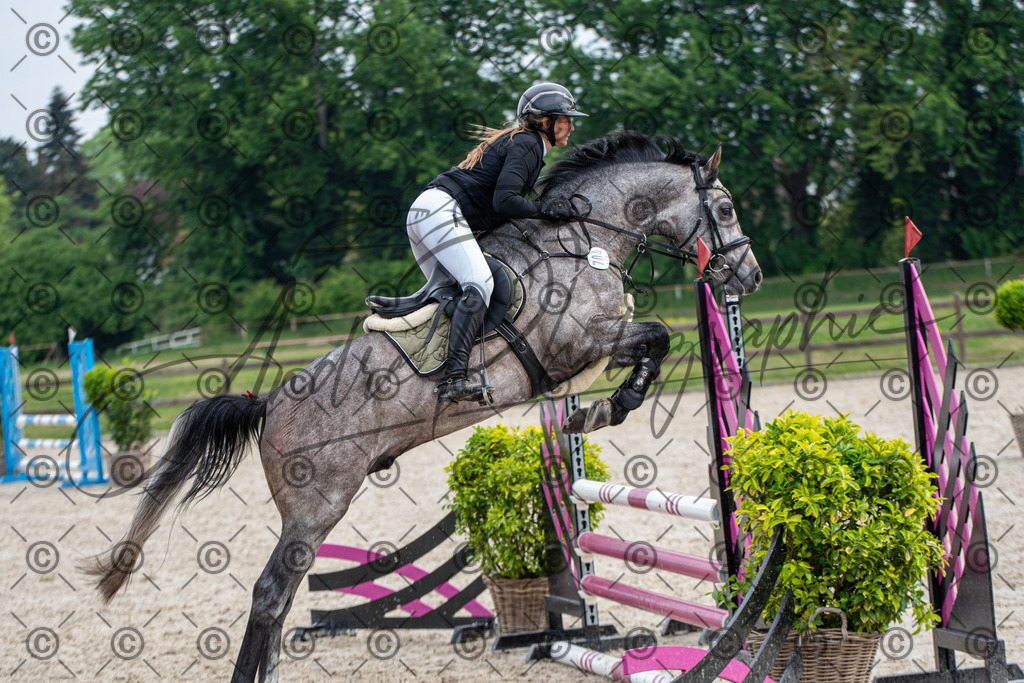 KPT_2258 | andre_photographic