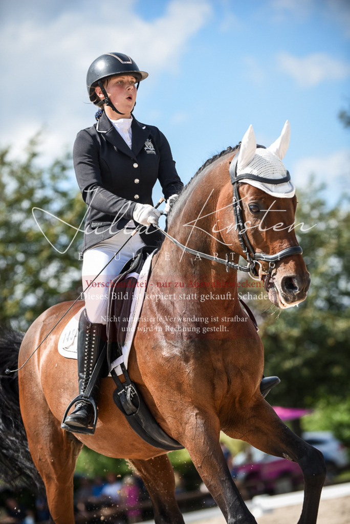 DSC_9309 | Pferde- und Turnierfotografie in Westsachsen. Pferdeportraits, Auftragszeichnungen und intuitive Kunst.